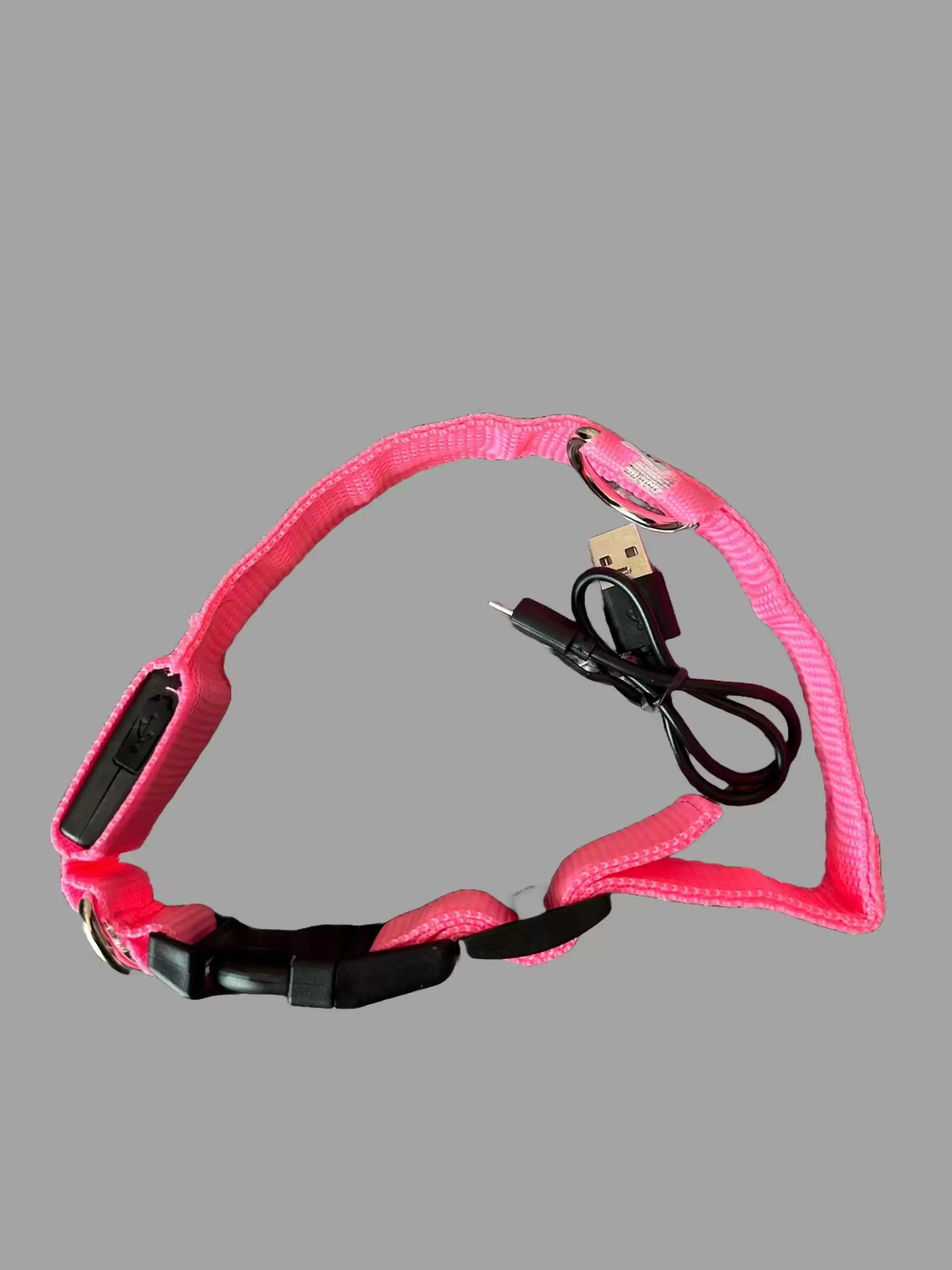LED light up Dog Collar (Rechargeable) - Image 4