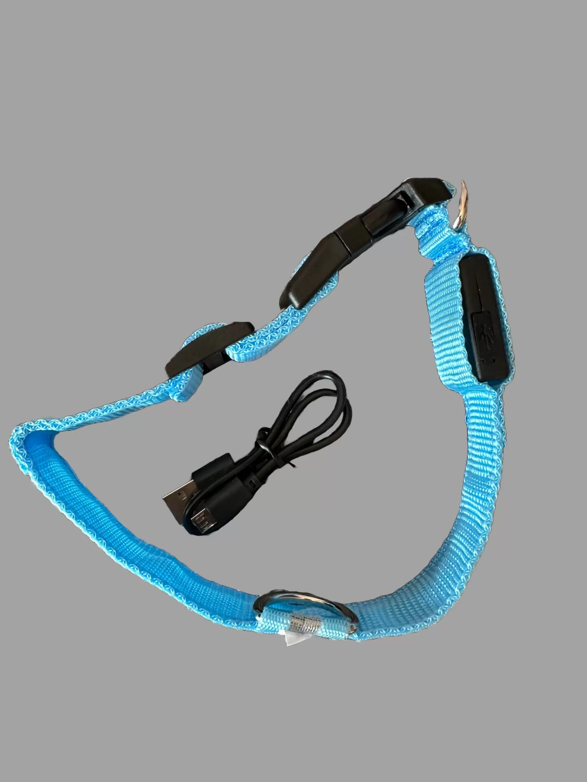 LED light up Dog Collar (Rechargeable) - Image 3