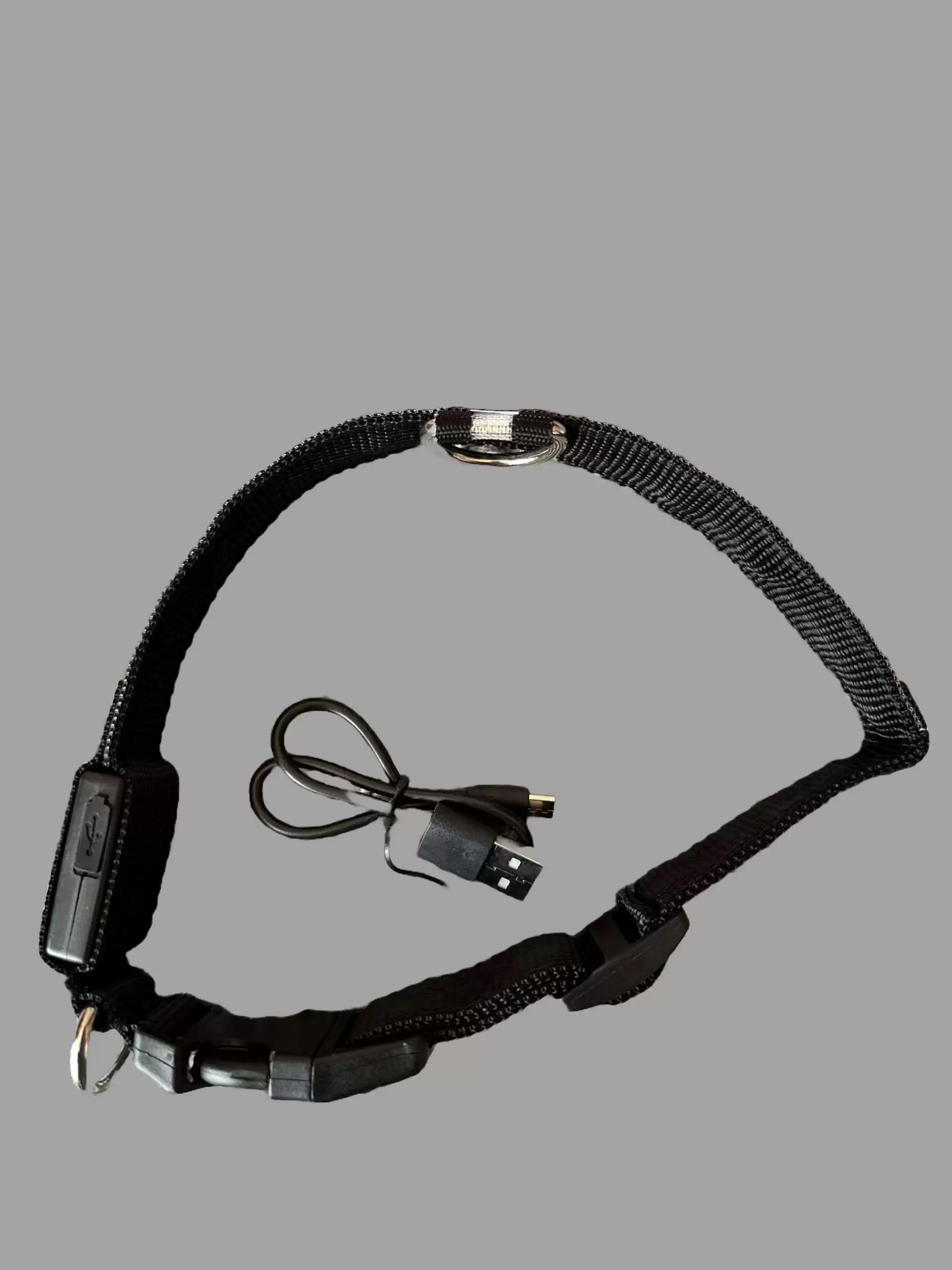 LED light up Dog Collar (Rechargeable) - Image 2