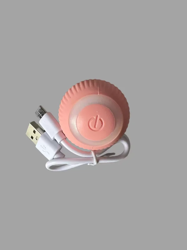 Interactive Self-Propelled Cat Ball Toy
