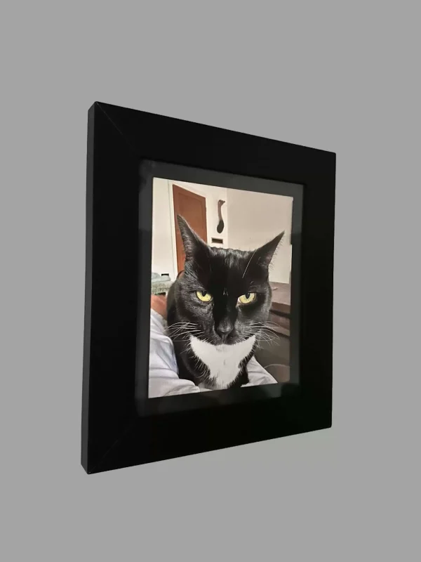 Stac Pack B - 4 Revolutionary Picture Frames and Free Accessories - Image 2
