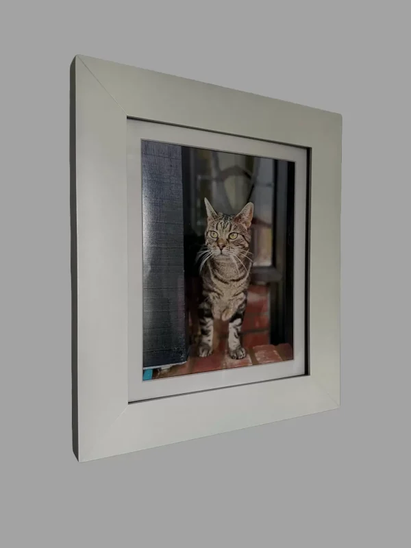 Stac Pack A - 3 Revolutionary Picture Frames and Free Accessories - Image 6