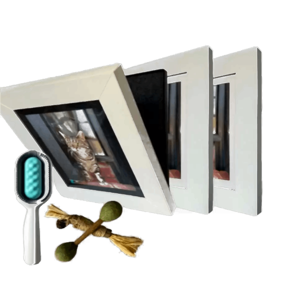 Stac Pack A - 3 Revolutionary Picture Frames and Free Accessories