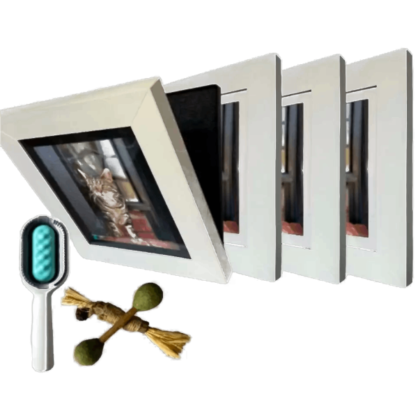 Stac Pack B - 4 Revolutionary Picture Frames and Free Accessories